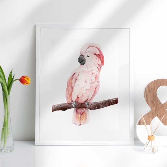 Wall Art Tropical Bird Portrait Print Unframed - Picture 4 of 15